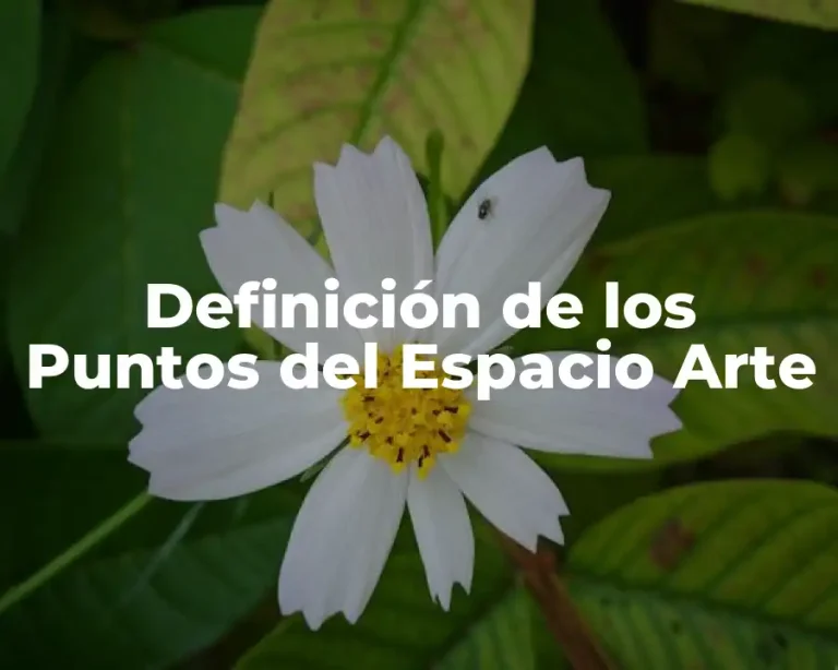 Definición de los Puntos del Espacio Arte