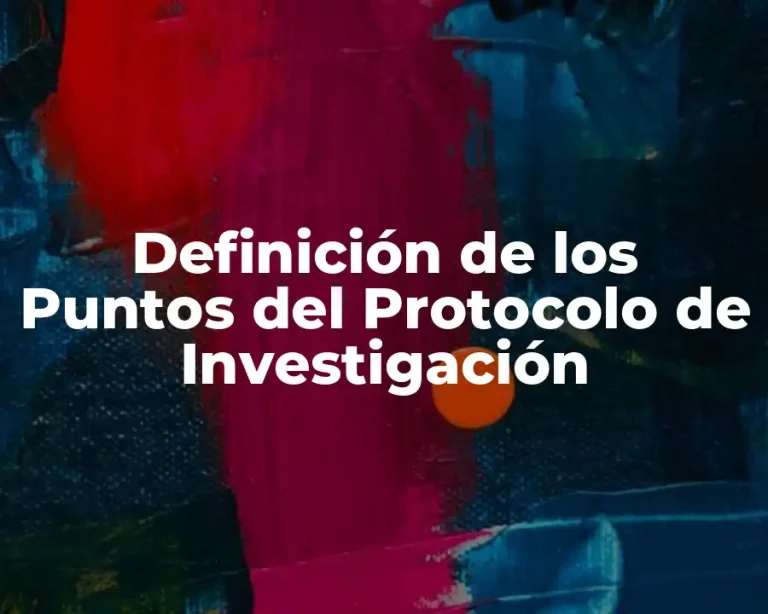 Definición de los Puntos del Protocolo de Investigación