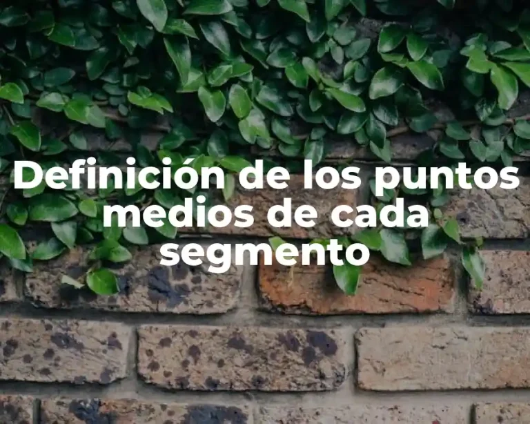 Definición de los puntos medios de cada segmento