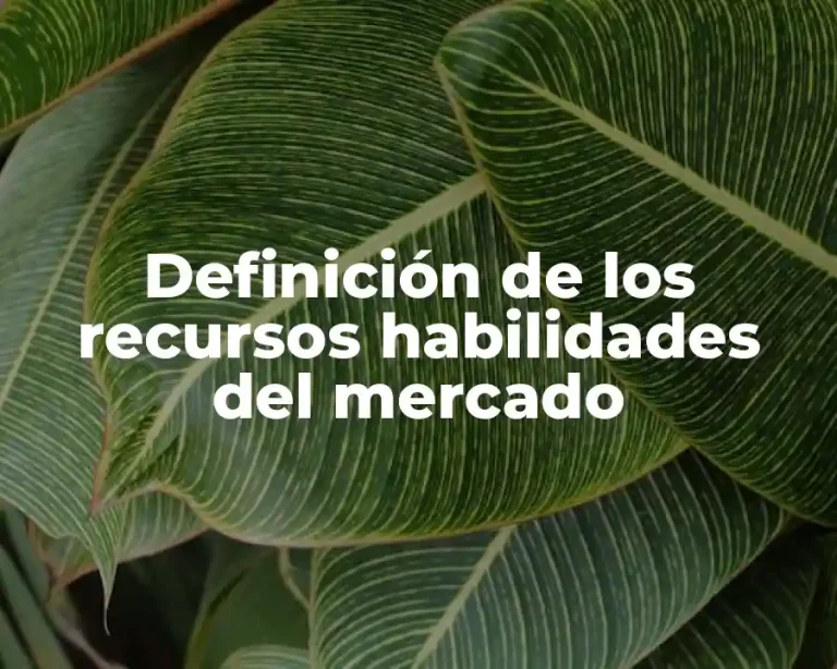 Definición de los recursos habilidades del mercado