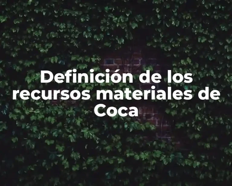Definición de los recursos materiales de Coca