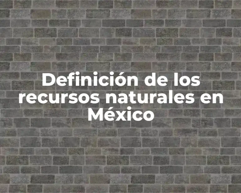 Definición de los recursos naturales en México