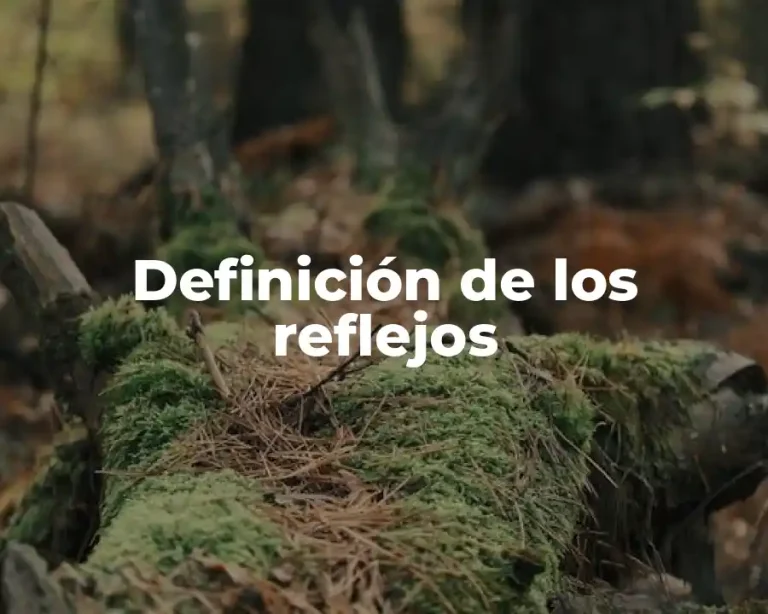 Definición de los reflejos
