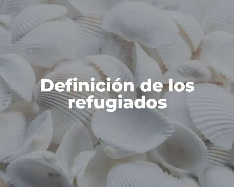 Definición de los refugiados