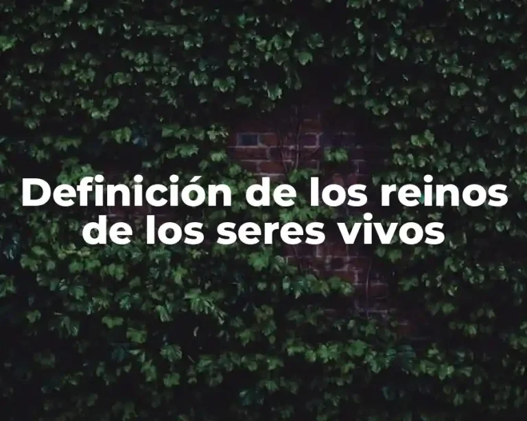 Definición de los reinos de los seres vivos