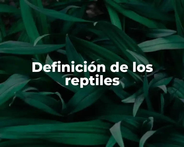 Definición de los reptiles