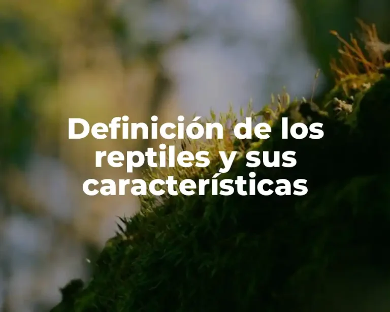 Definición de los reptiles y sus características