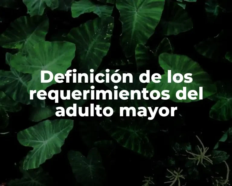Definición de los requerimientos del adulto mayor