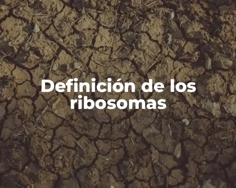 Definición de los ribosomas