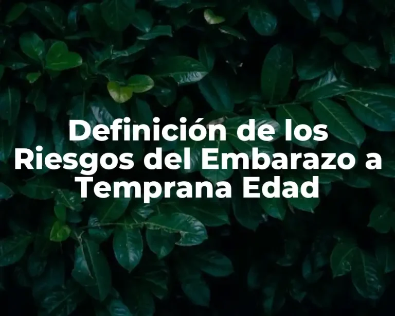 Definición de los Riesgos del Embarazo a Temprana Edad