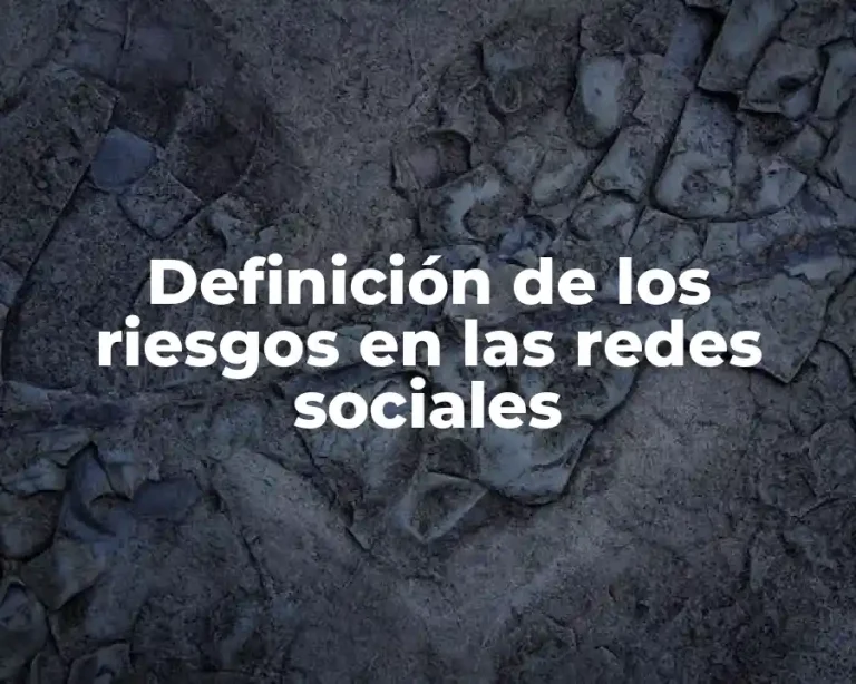 Definición de los riesgos en las redes sociales