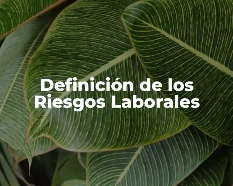 Definición de los Riesgos Laborales