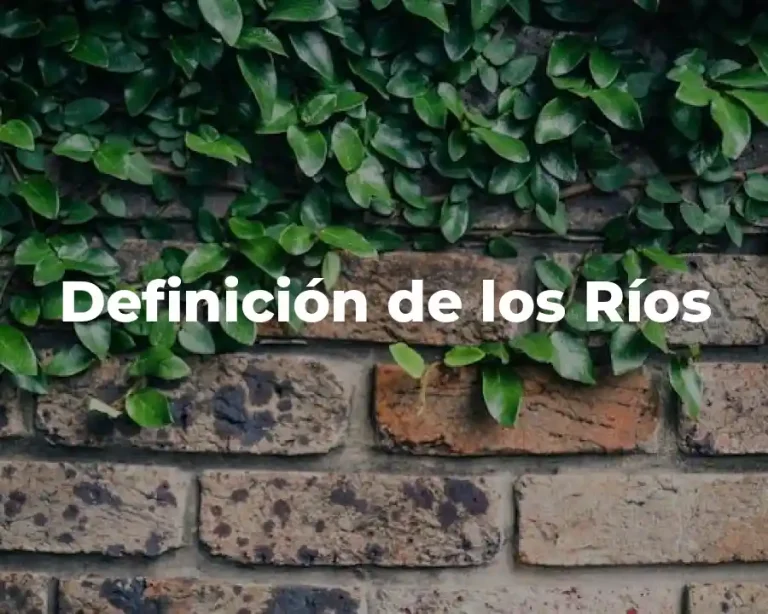 Definición de los Ríos