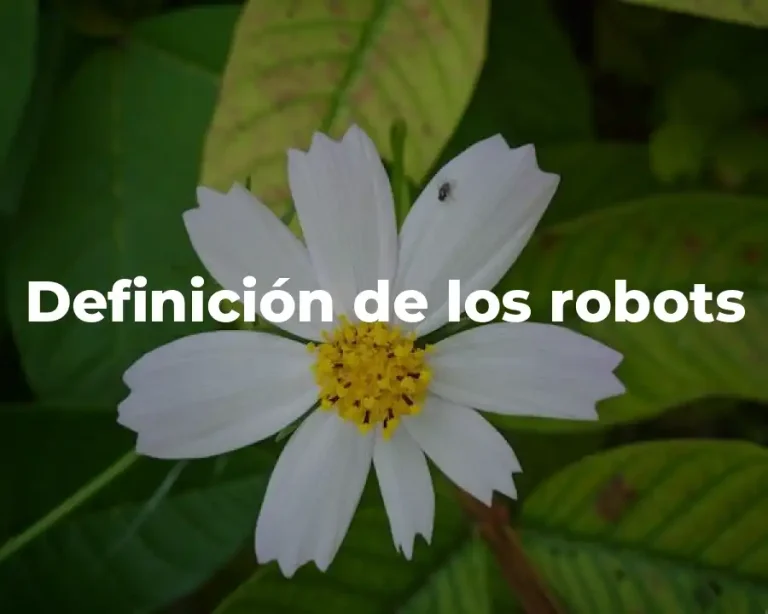 Definición de los robots
