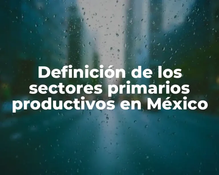 Definición de los sectores primarios productivos en México
