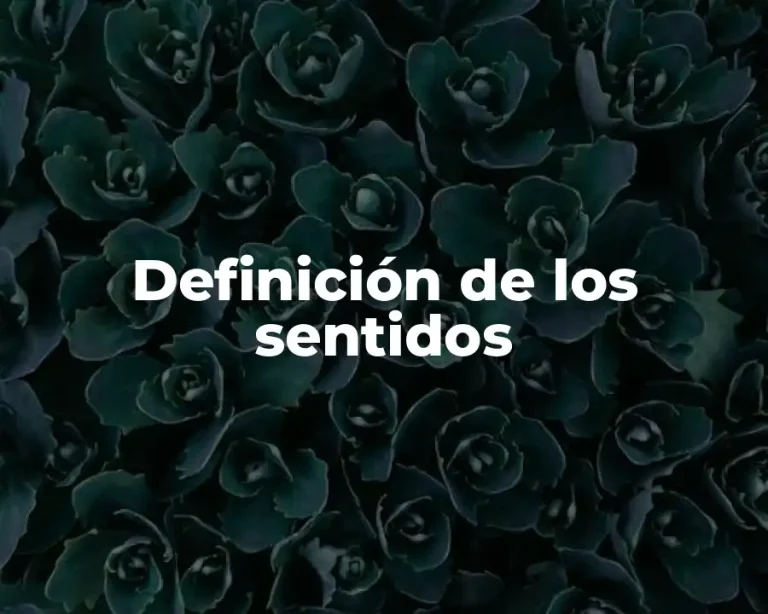 Definición de los sentidos