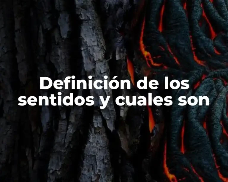 Definición de los sentidos y cuales son