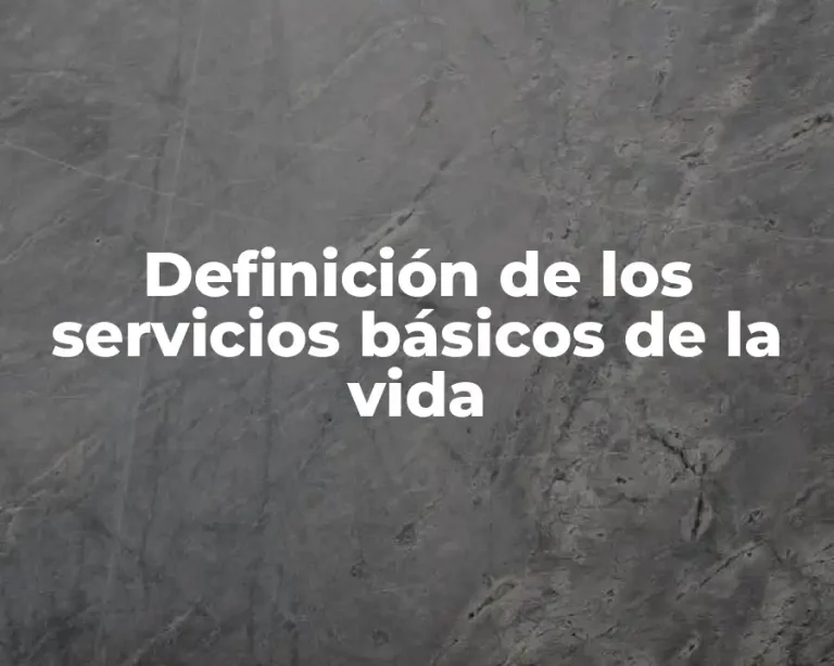 Definición de los servicios básicos de la vida
