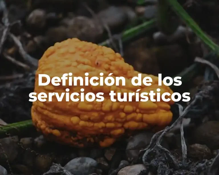 Definición de los servicios turísticos