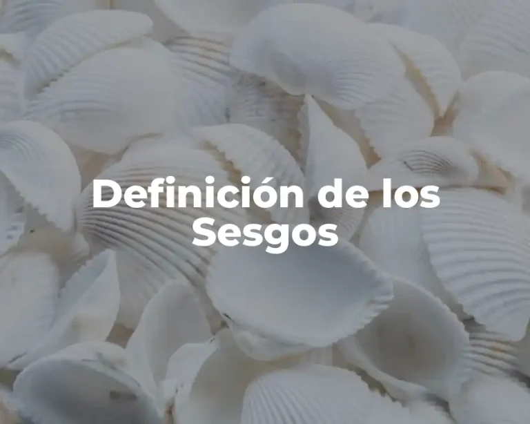 Definición de los Sesgos