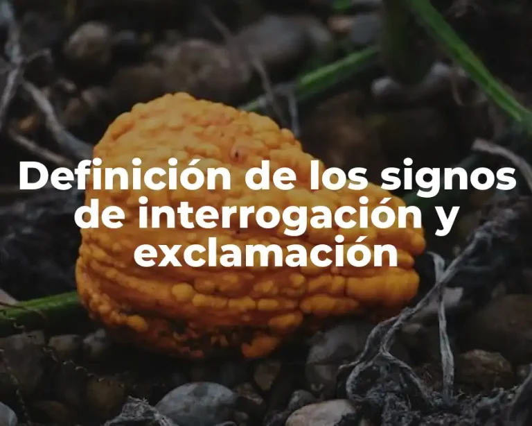 Definición de los signos de interrogación y exclamación