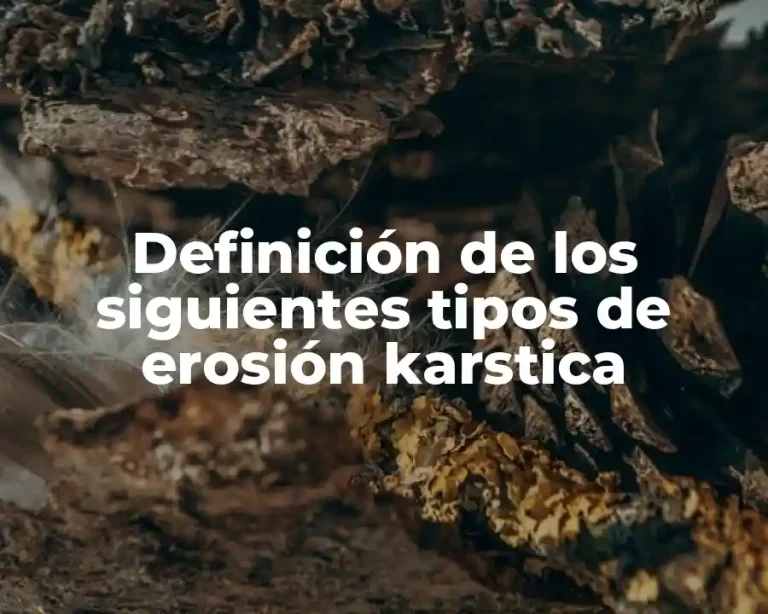 Definición de los siguientes tipos de erosión karstica