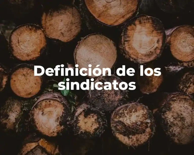 Definición de los sindicatos