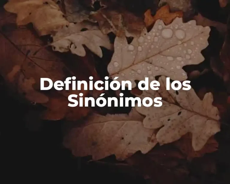 Definición de los Sinónimos