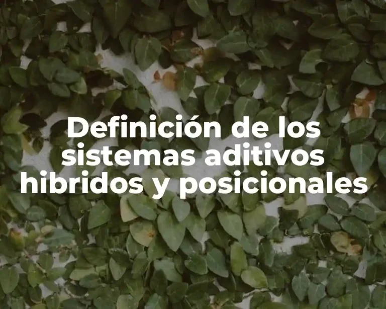 Definición de los sistemas aditivos hibridos y posicionales