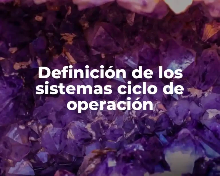 Definición de los sistemas ciclo de operación