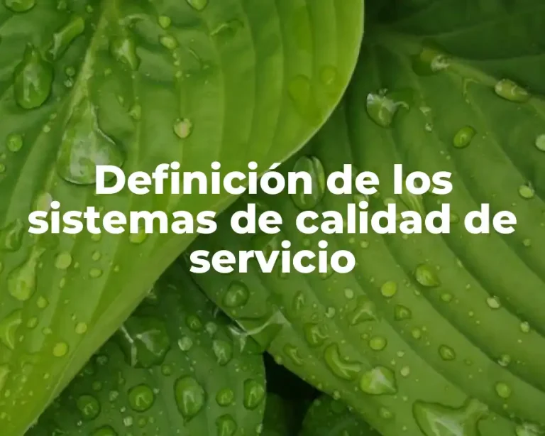 Definición de los sistemas de calidad de servicio