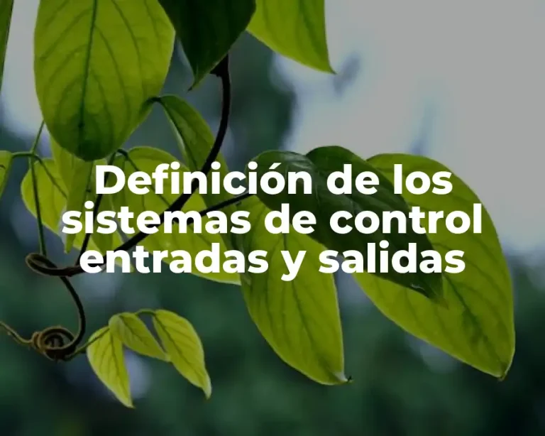 Definición de los sistemas de control entradas y salidas