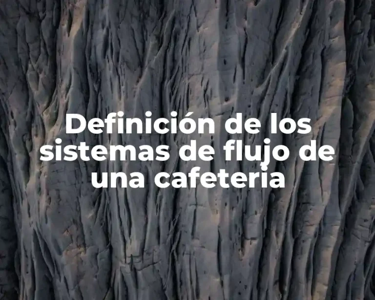 Definición de los sistemas de flujo de una cafeteria