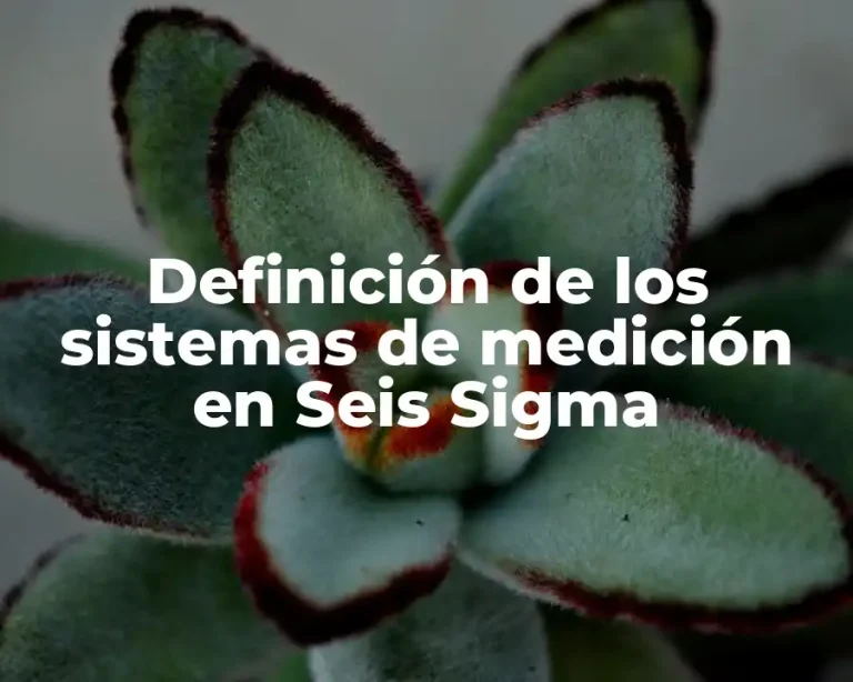 Definición de los sistemas de medición en Seis Sigma