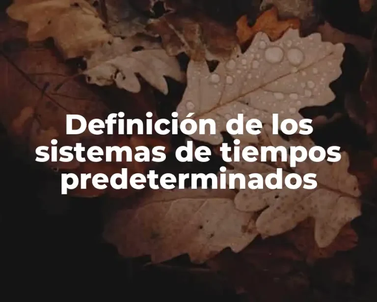 Definición de los sistemas de tiempos predeterminados