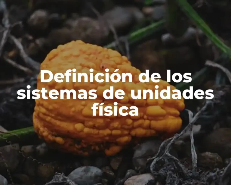 Definición de los sistemas de unidades física