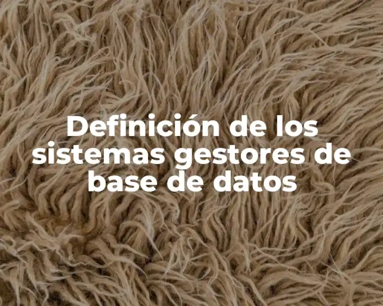 Definición de los sistemas gestores de base de datos