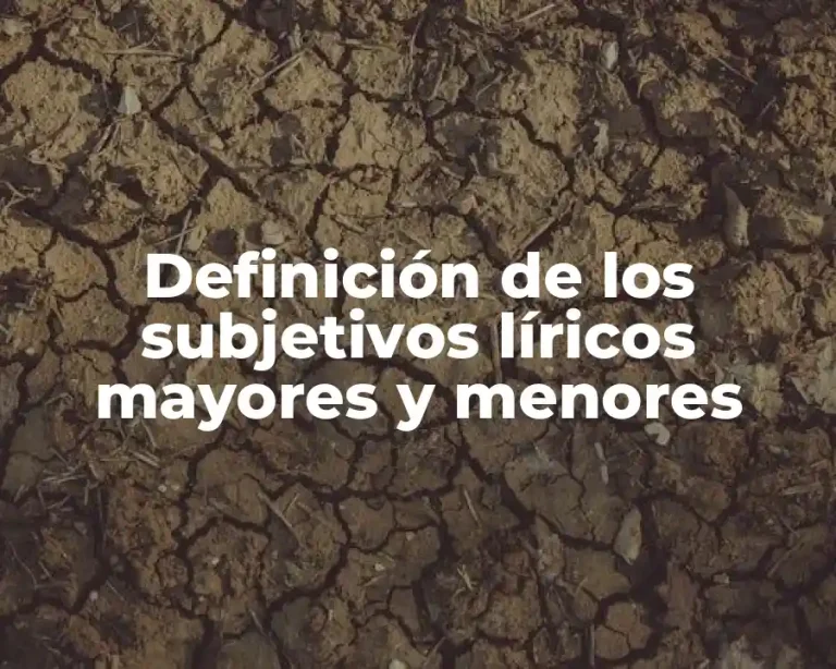 Definición de los subjetivos líricos mayores y menores