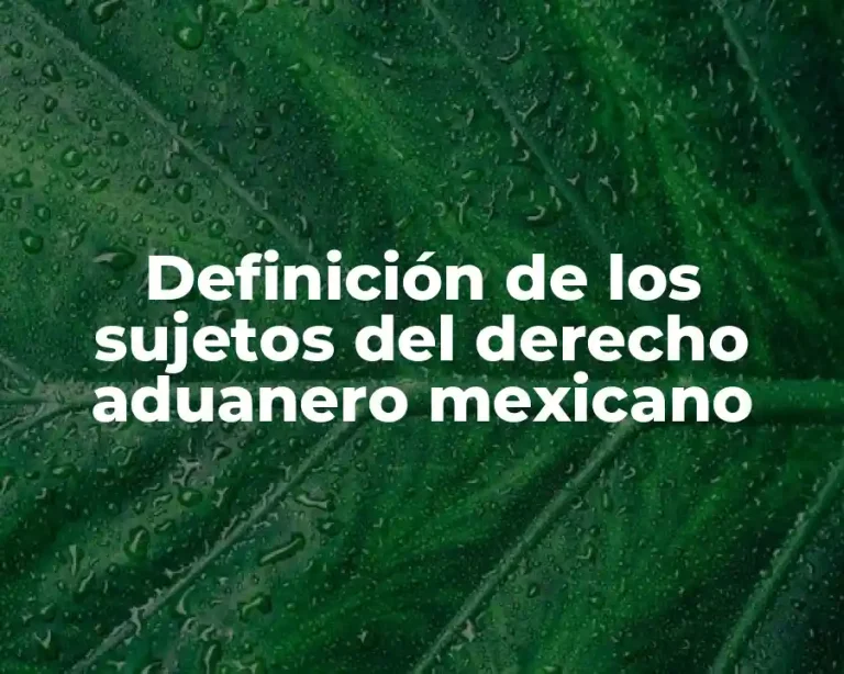 Definición de los sujetos del derecho aduanero mexicano