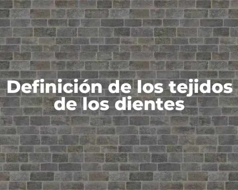 Definición de los tejidos de los dientes