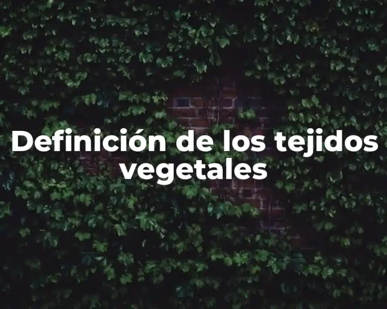 Definición de los tejidos vegetales