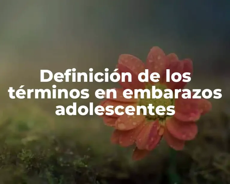 Definición de los términos en embarazos adolescentes