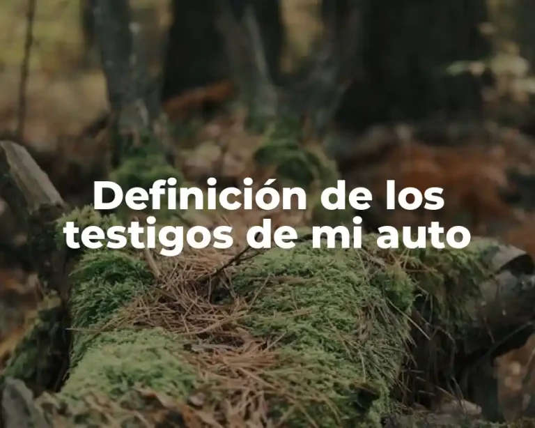 Definición de los testigos de mi auto