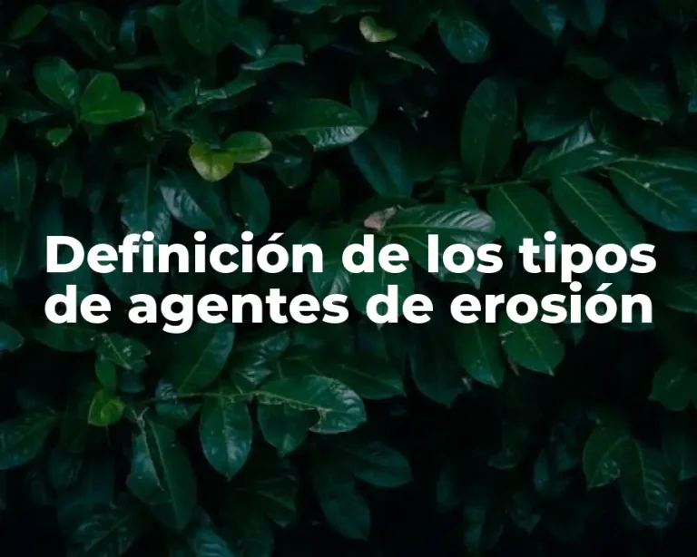 Definición de los tipos de agentes de erosión