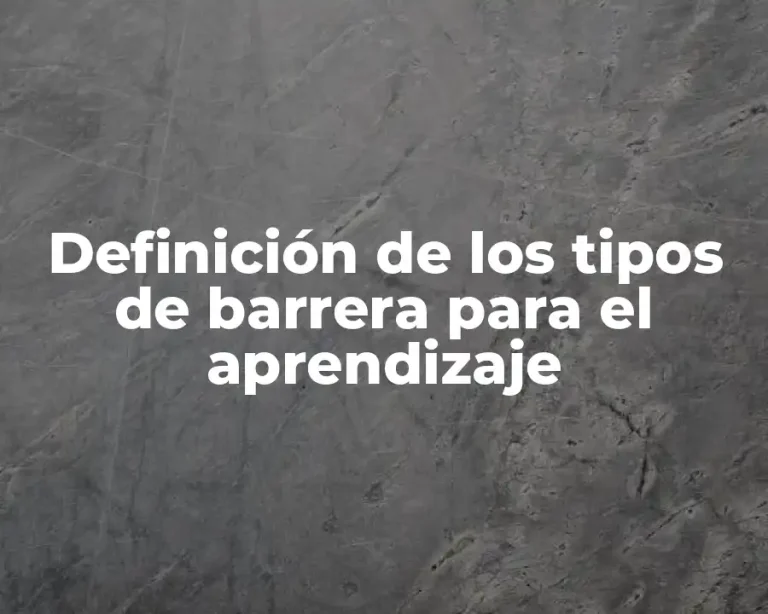 Definición de los tipos de barrera para el aprendizaje