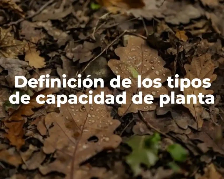 Definición de los tipos de capacidad de planta