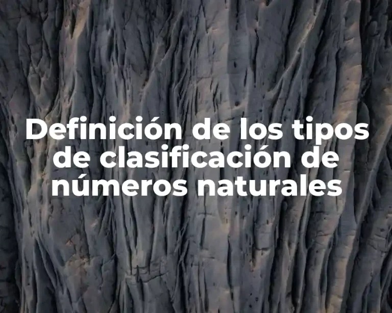 Definición de los tipos de clasificación de números naturales