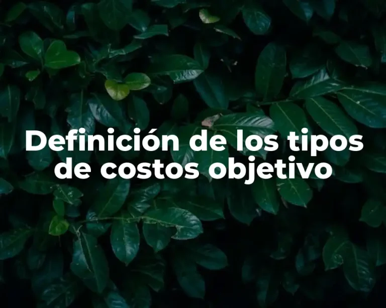Definición de los tipos de costos objetivo