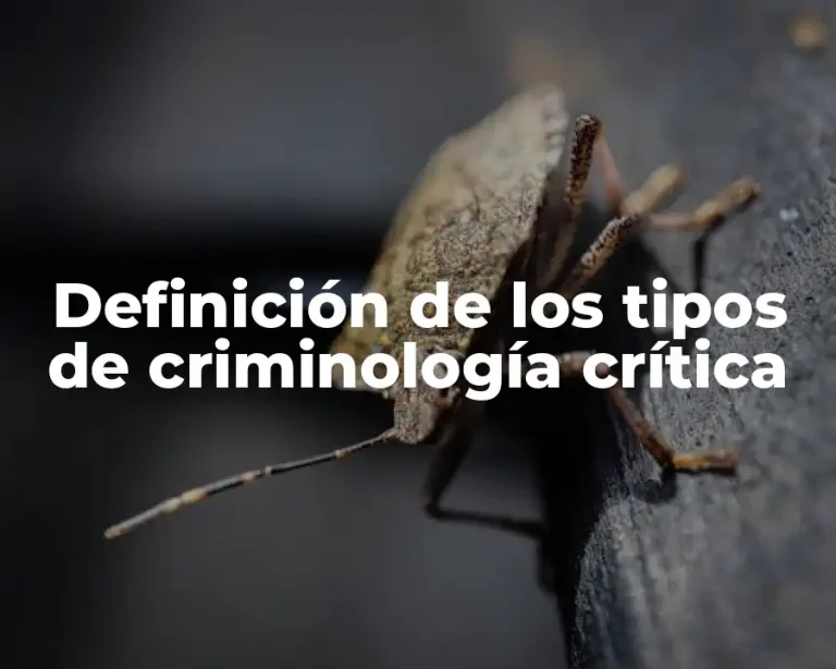 Definición de los tipos de criminología crítica