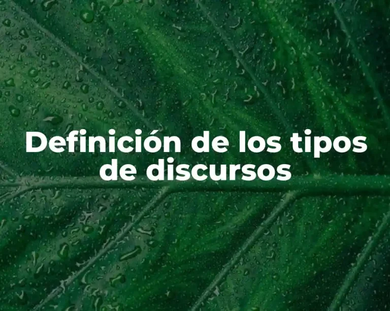 Definición de los tipos de discursos